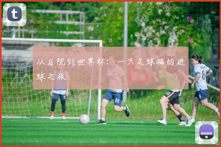 从后院到世界杯:一只足球猫的进球之旅