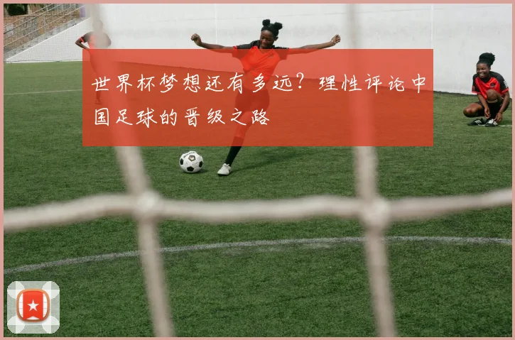 世界杯梦想还有多远？理性评论中国足球的晋级之路